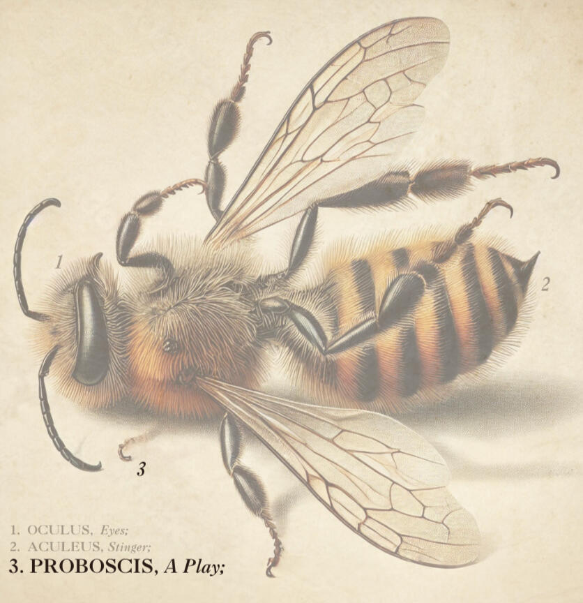 Proboscis In a world where bees are extinct, is holding out hope for their survival insane, or an act of faith? Drama/Sci-Fi - One-Act Play